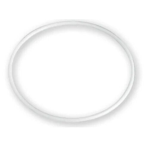 PTFE O-Ring